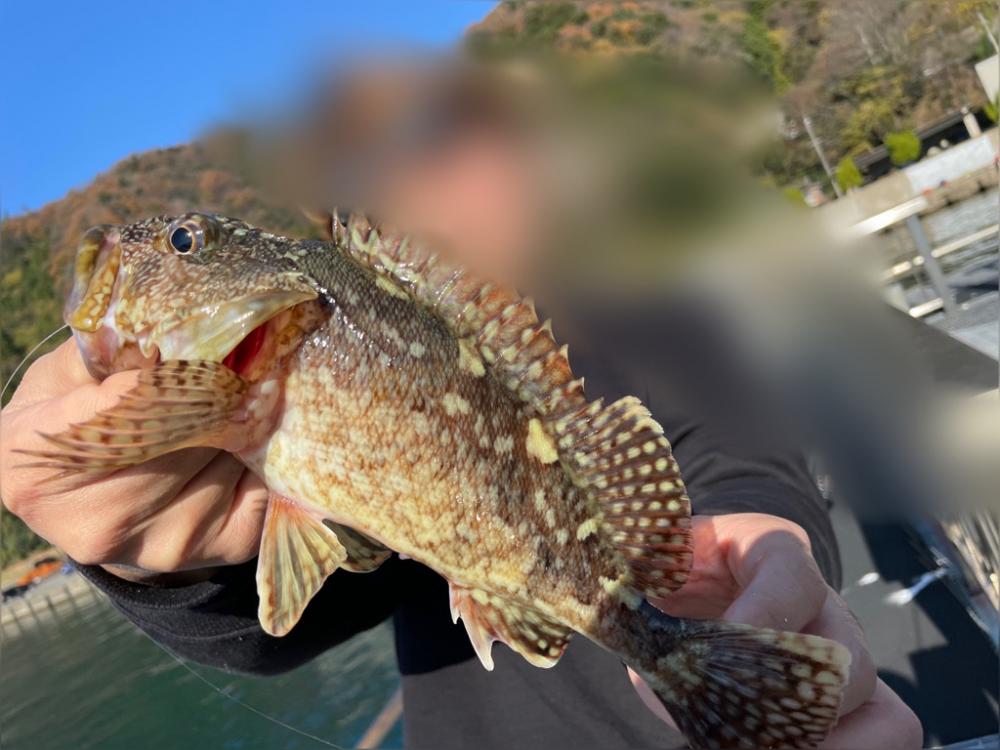 ライトタックルゲーム