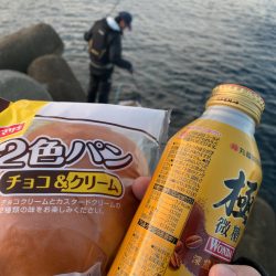 まだまだ秋グレ