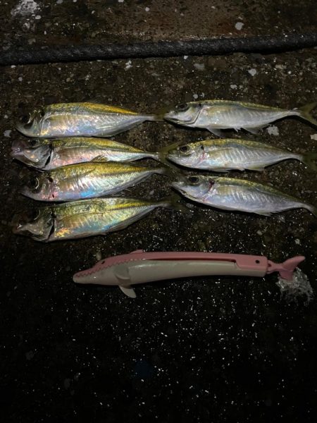 コンスタントにアジ爆釣！【美浜】