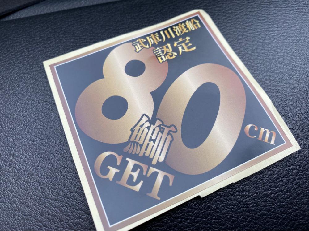 ノマセ好調‼️