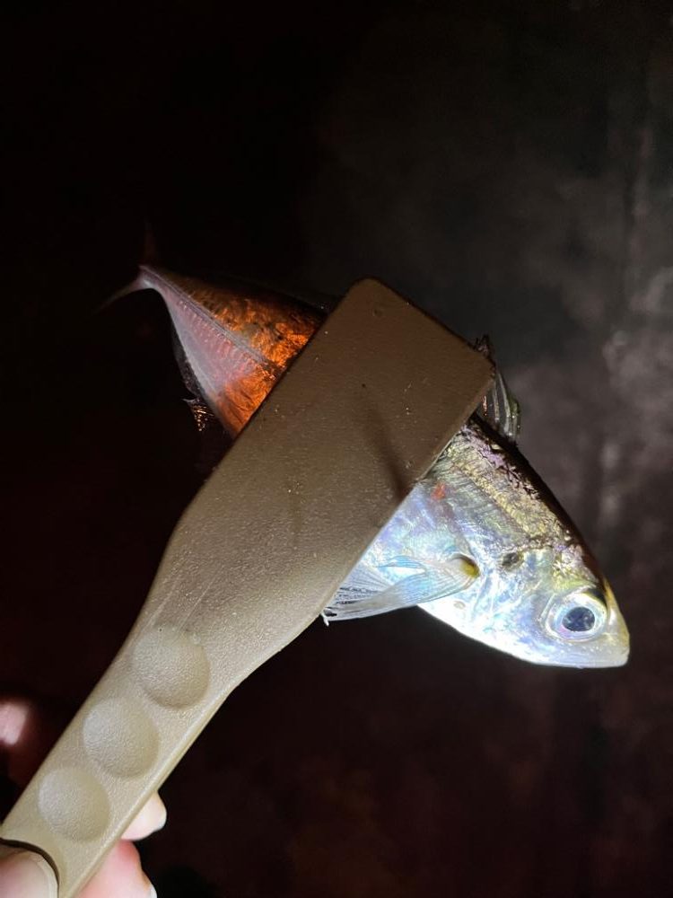 休みの日の恒例行儀w