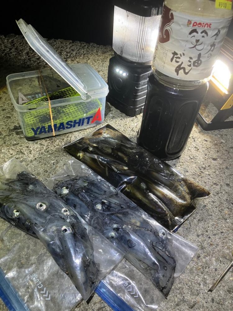 ヒイカはタイミング？(^.^)