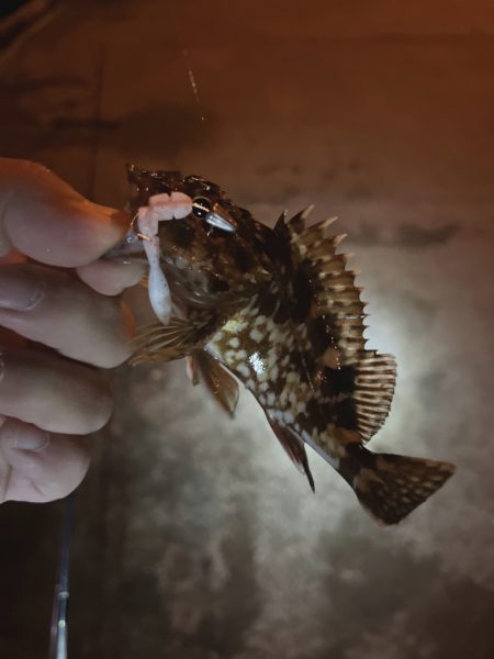 メバリングなんだけどなぁw