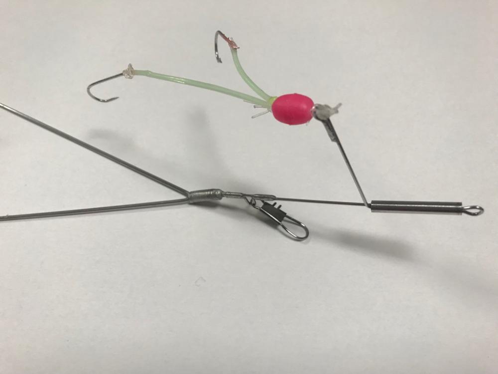 ショウサイフグ