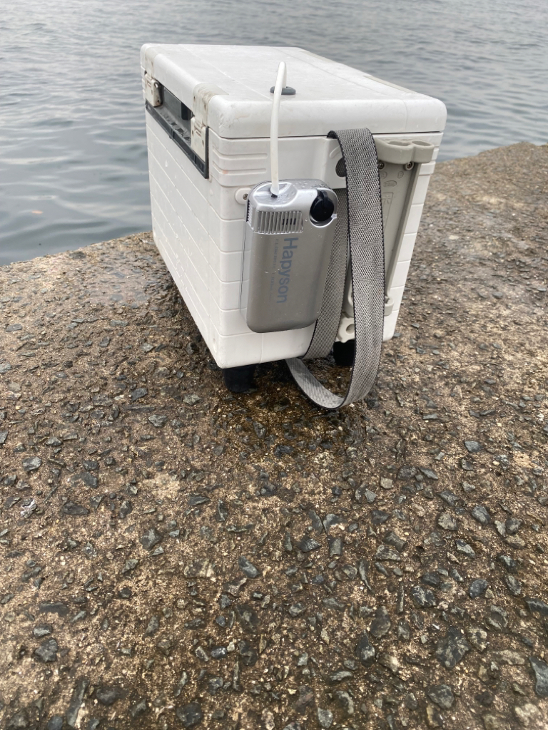 冷え込む日になりました。