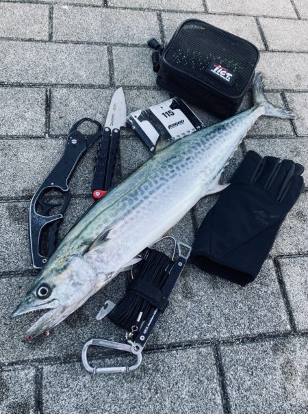 冷たい西北風。。何とか青牙58cm。