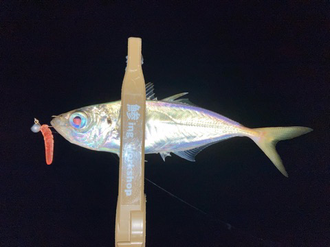 ミニにはミニで