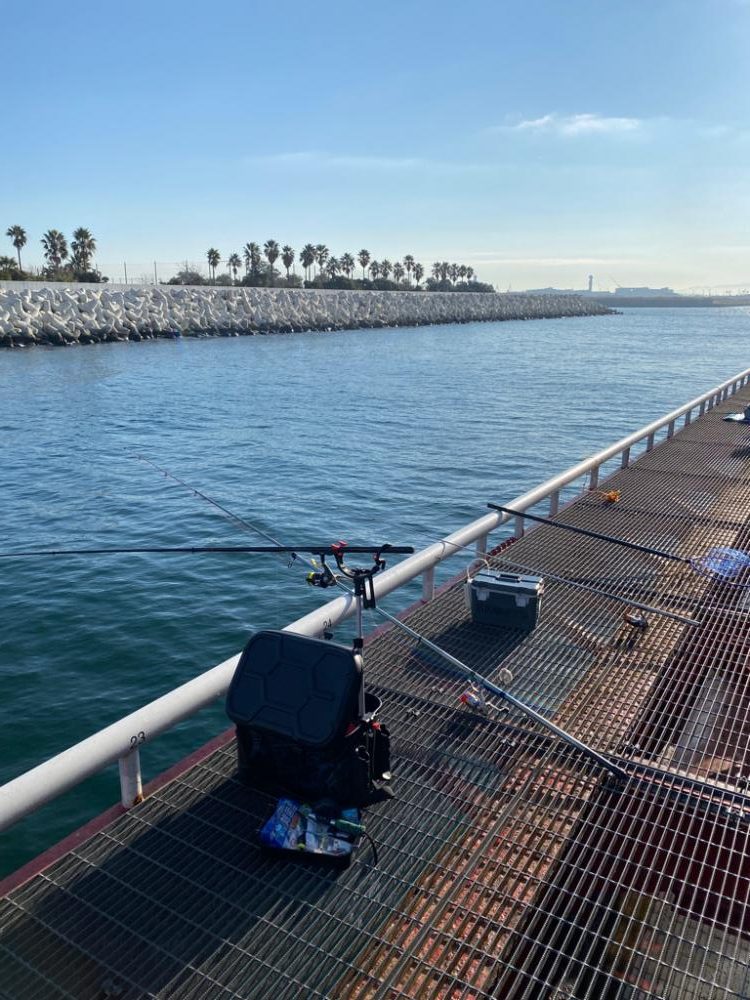 尼崎魚釣り園でチヌ2匹