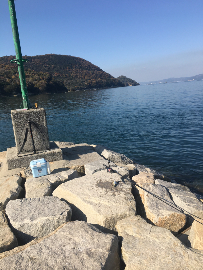 ソルトルアーでヒラメをゲット