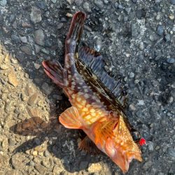 短時間ライトゲーム