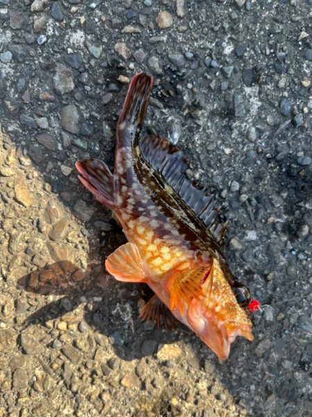 短時間ライトゲーム