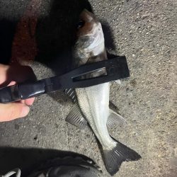 四日市ライトゲームで5目