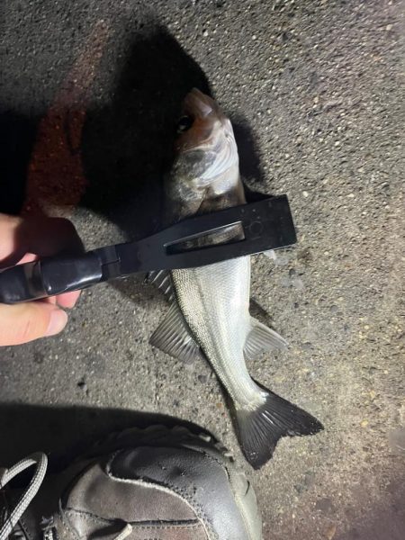 四日市ライトゲームで5目