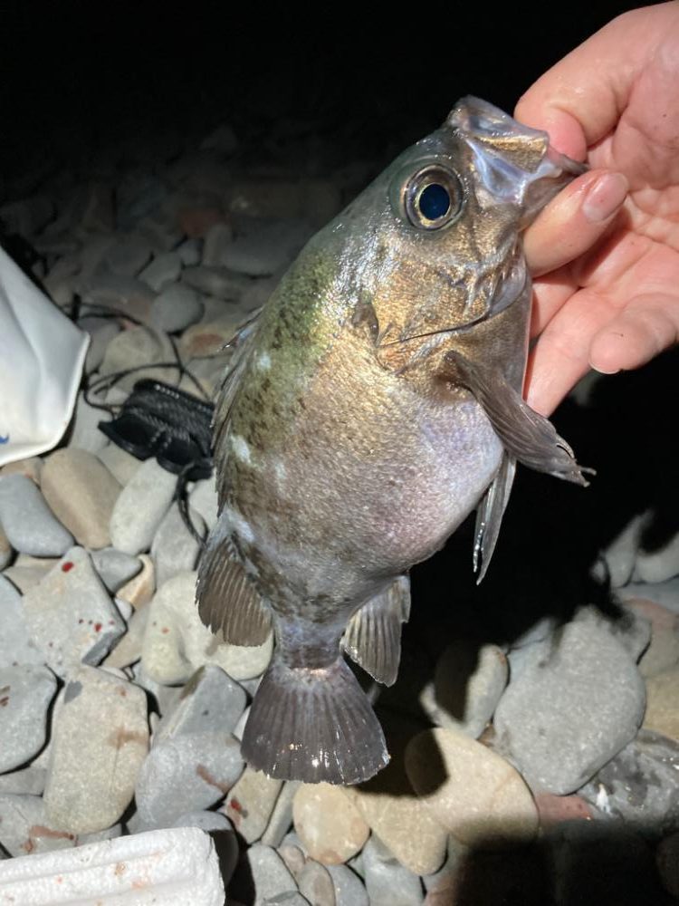 フロートメバリング