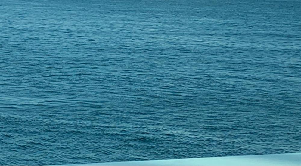 もう逃さないッ！