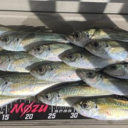 サンタが来たよ✨