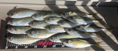 サンタが来たよ✨