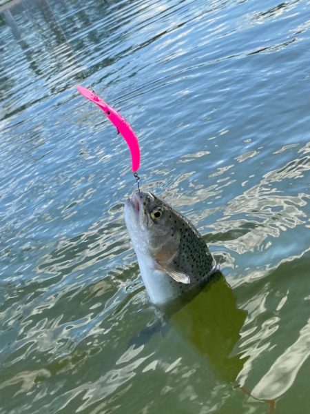 釣れ釣れ　亀岡　プール