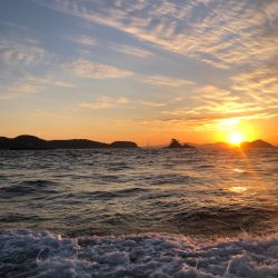 伊勢湾ジギングで釣り納め