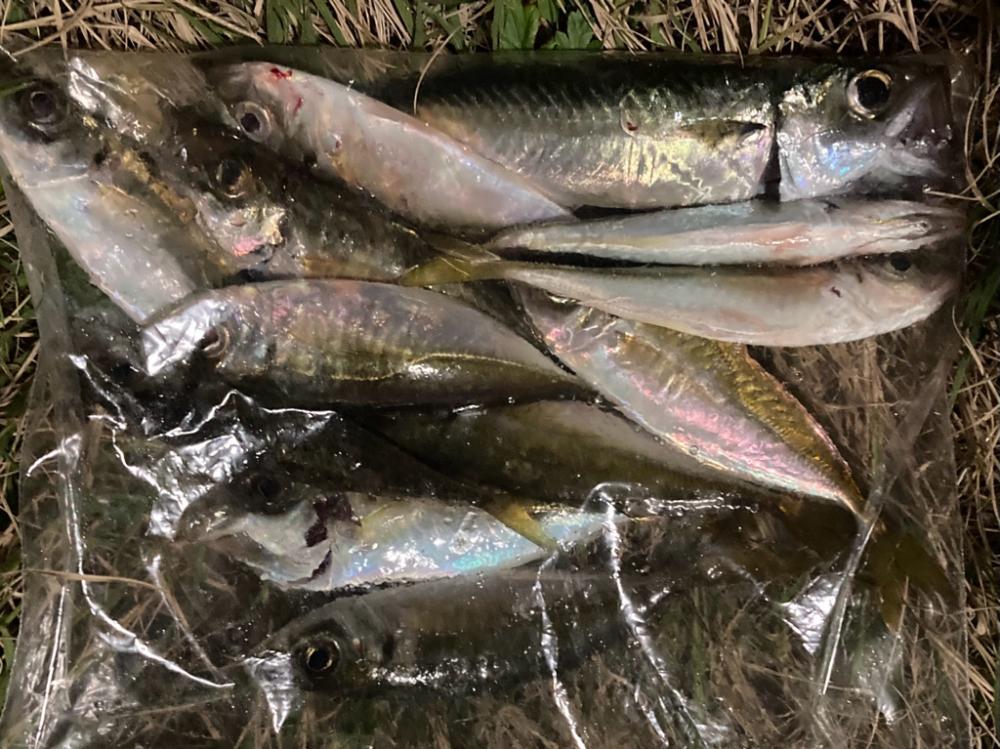 なかなか廻って来ない