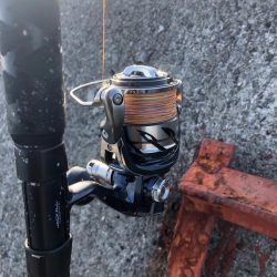 今日はノマセ釣りで