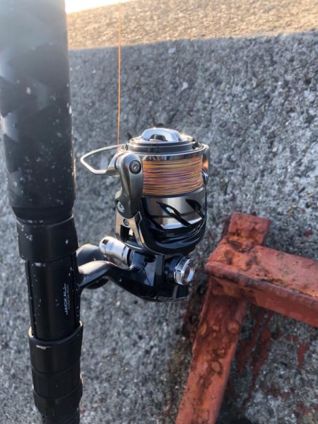 今日はノマセ釣りで