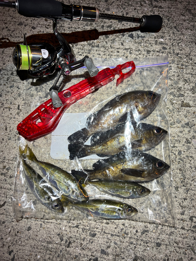 鯵を探して三千里Vel.13 淡輪漁港