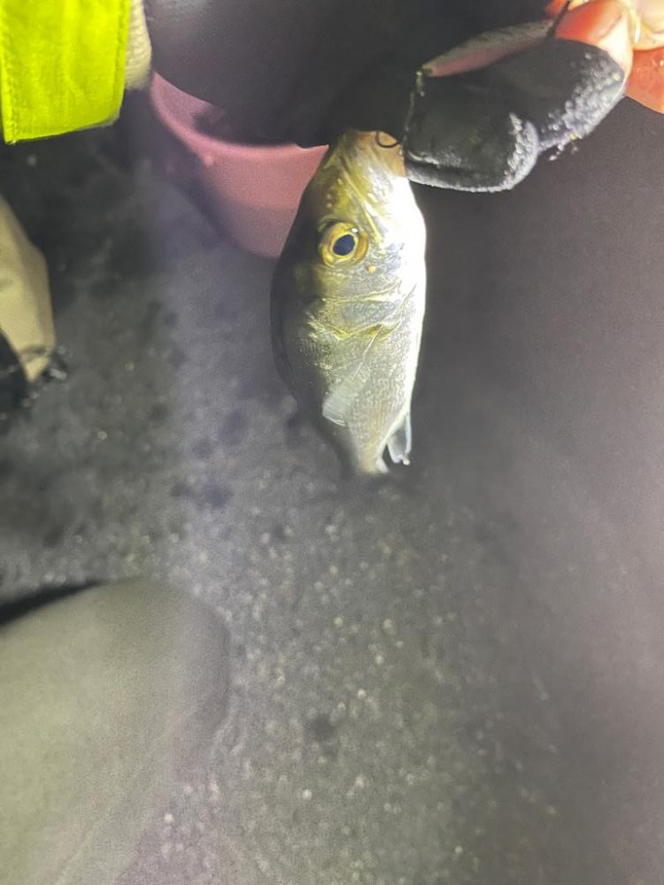 四日市ライトゲーム