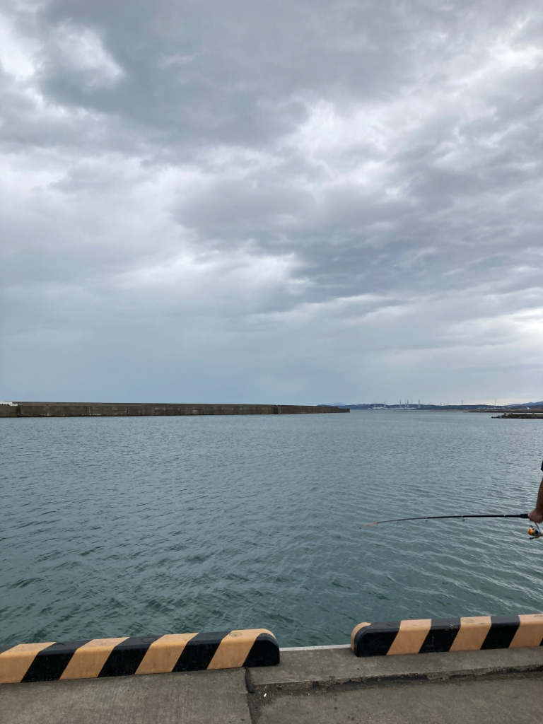 シーズン締めはサビキ釣り