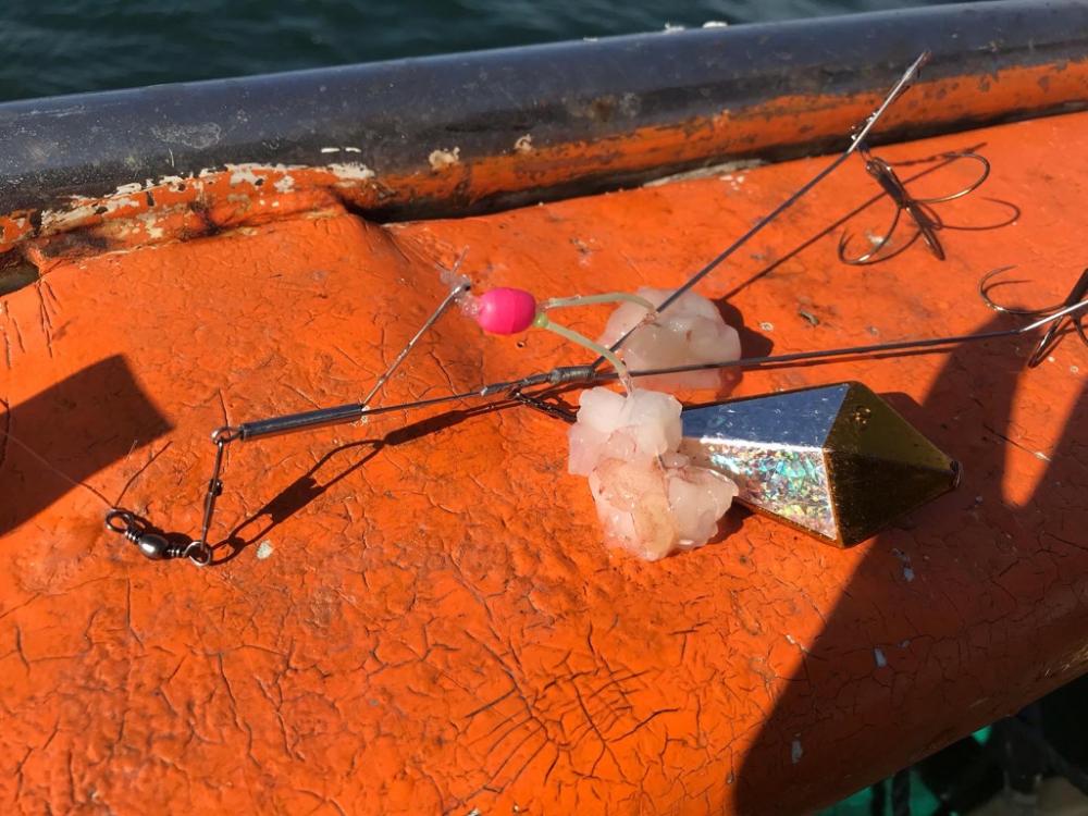 ショウサイフグ