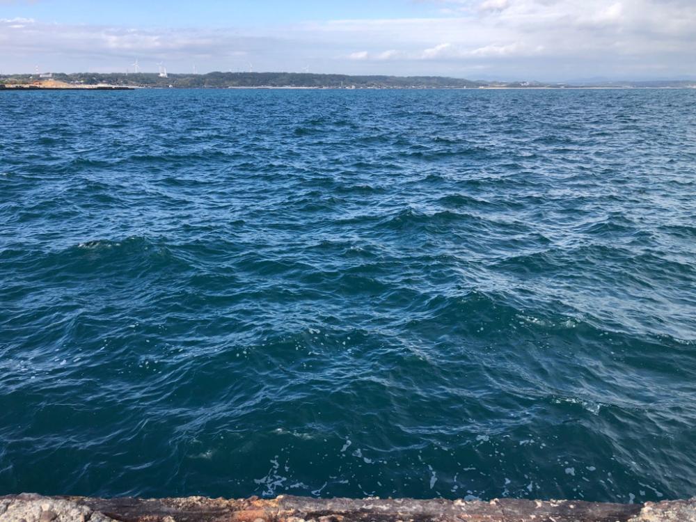 中アジ17匹含め65匹と好調!