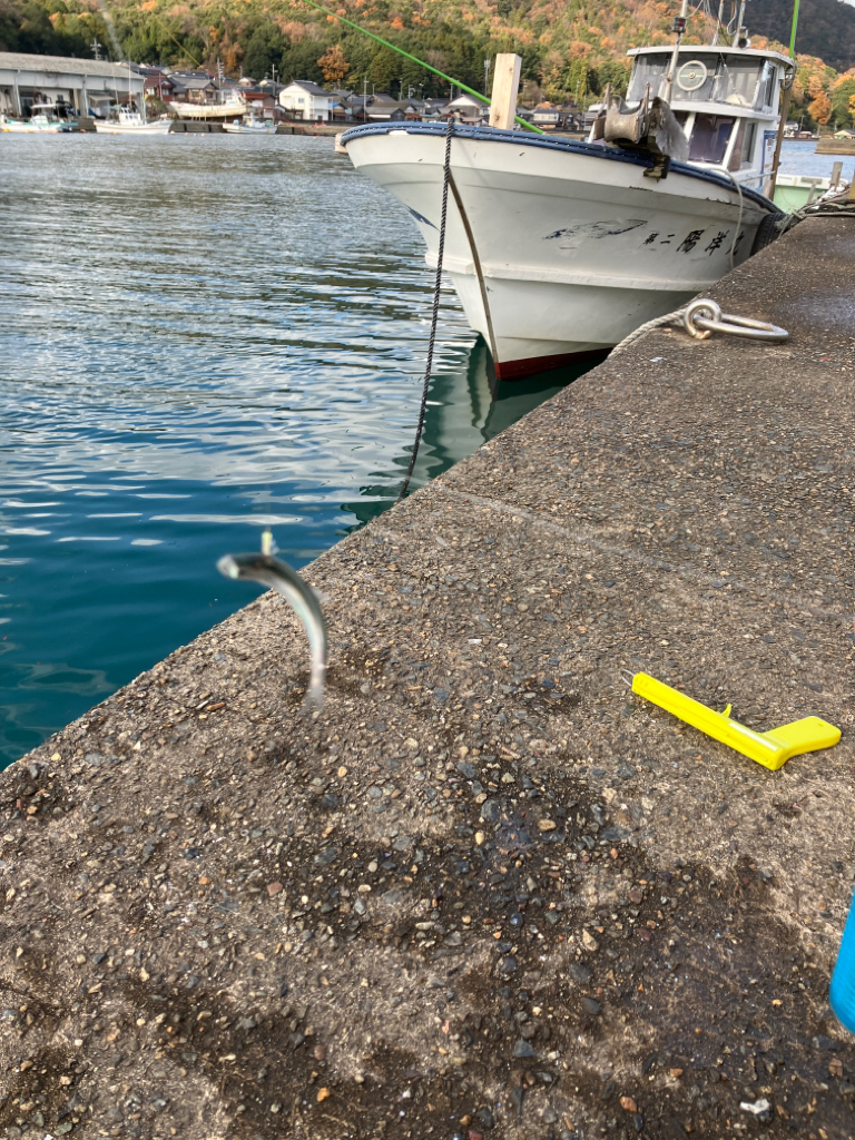 サゴシのノマセ釣り