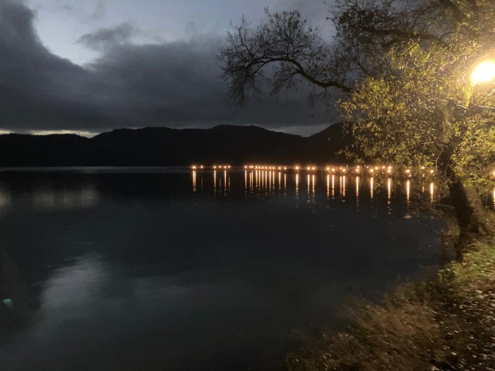 小さい群がポツポツと