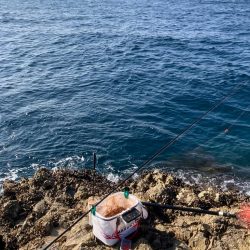 沖磯でグレ釣り転じて五目釣り