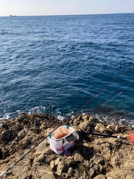 沖磯でグレ釣り転じて五目釣り