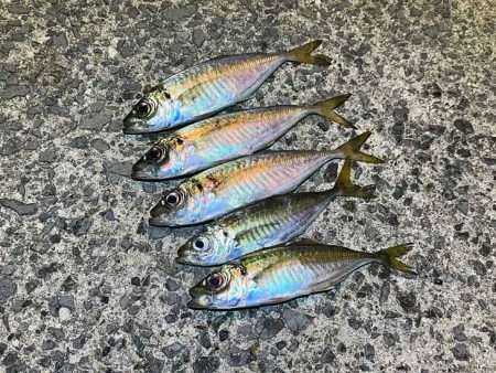 回遊待ちとレンジ合わせで激ムズアジング！イ…