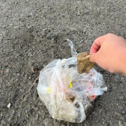 清掃活動:ひゃあぁ~!すっご~~いっ!!大…