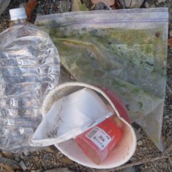 清掃活動：ハスバス