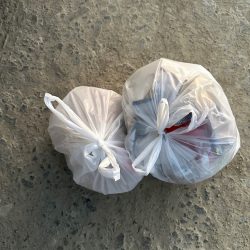 清掃活動：カレイ釣り