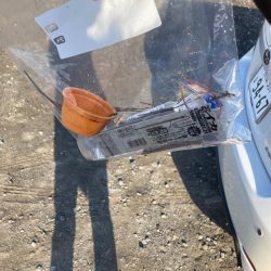 清掃活動：ベイトタックルデビューで小物釣り…