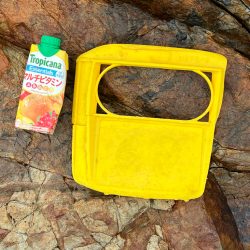 清掃活動：外泊泊まり込みメジロ水面爆発