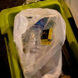 清掃活動：イカメタル＆パチコン