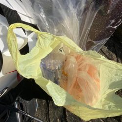 清掃活動：沖磯でフカセ釣り