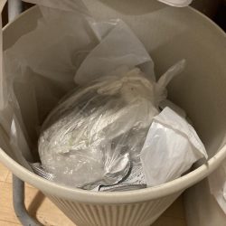 清掃活動：師走のグレ狙い