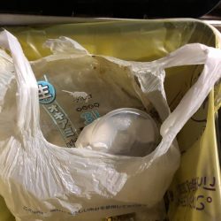 清掃活動：【伊根〜京丹後】12月クリア！