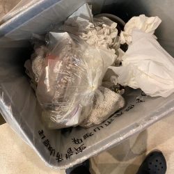 清掃活動：カワハギ難しい！