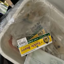 清掃活動：タイラバ