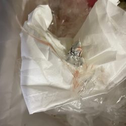 清掃活動：家から5分でメジロ