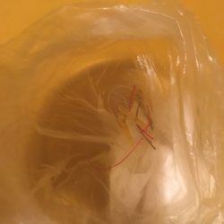 清掃活動：そろそろ終盤か