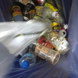 清掃活動：ヒイカ〜寒い